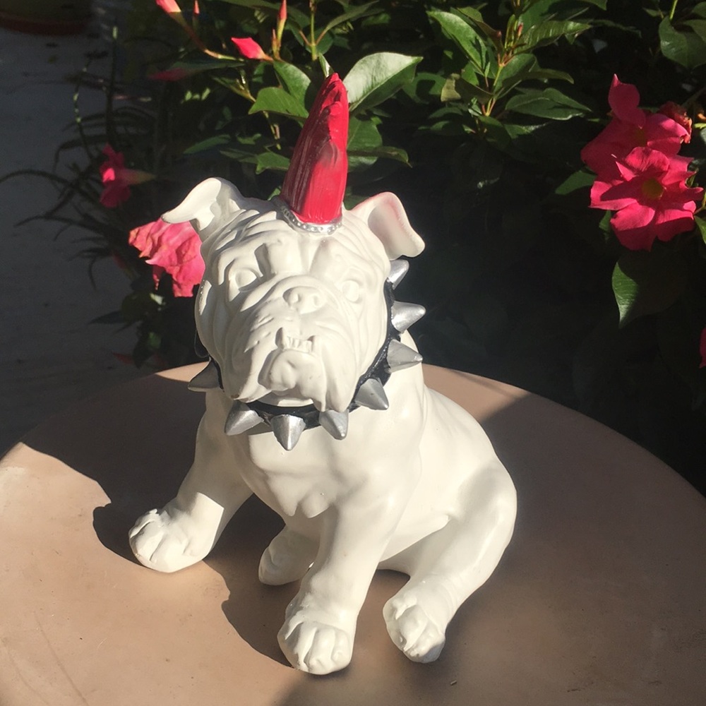 Interior illusions brand ⭐️punk rock bull dog bank